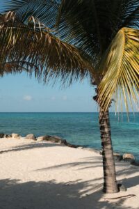 Vacation-Adventure-Luxury Cruises-Family Cruises-Carribean-Sunny-Royal Carribean-Carnival-Norwegian-Tropical-Compare Prices -Cheap Cruises-Cheap Flights