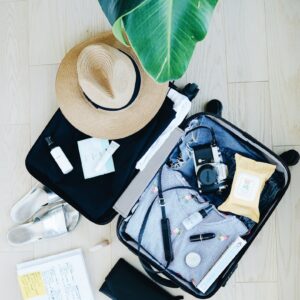 Cruiseliners-Carnival Cruises-Royal Carribeian Cruises-Norwegian Cruises-Cheap Cruises-Compare Cruise Prices -Plan A Vacation-Plan An Adventure-Travel Essentials-Travel Bag