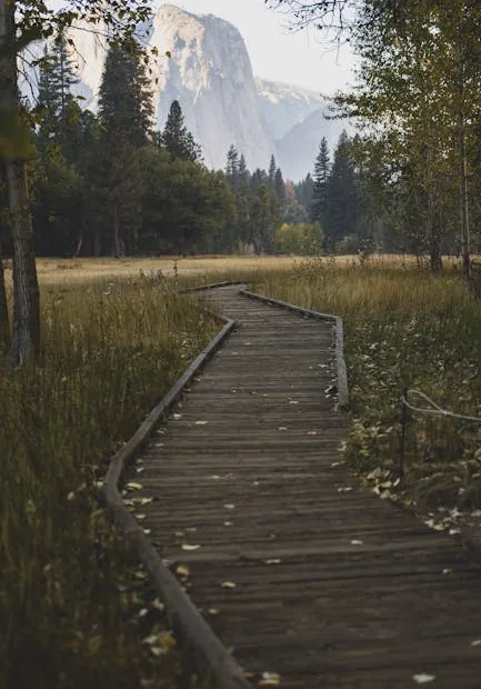 Vacation-Adventure-Parks-Yosemite Park-Travel-Trails-National Parks-Camping-Camp Trailers